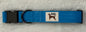 Pet Collar