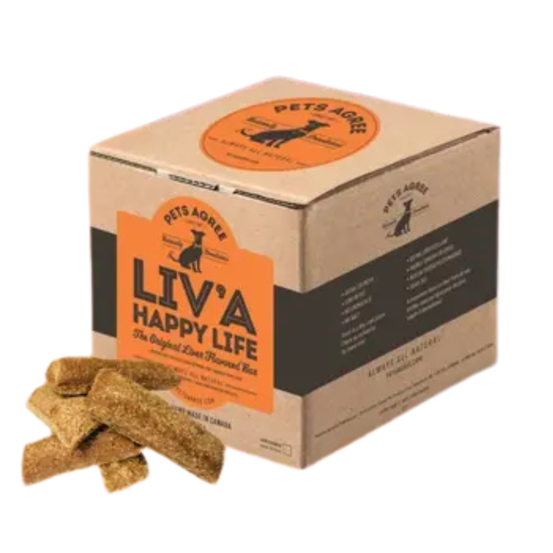 Treat Teeth Cleaning